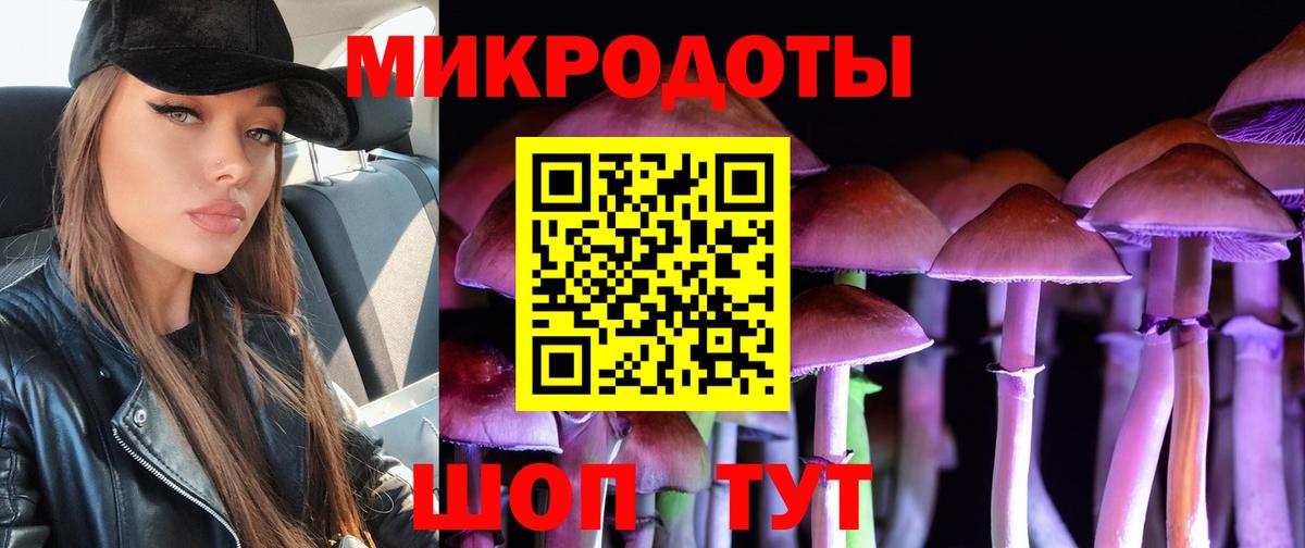 Петропавловск-Камчатский  Галлюциногенные грибы Psilocybine cubensis  Вход с VPN 