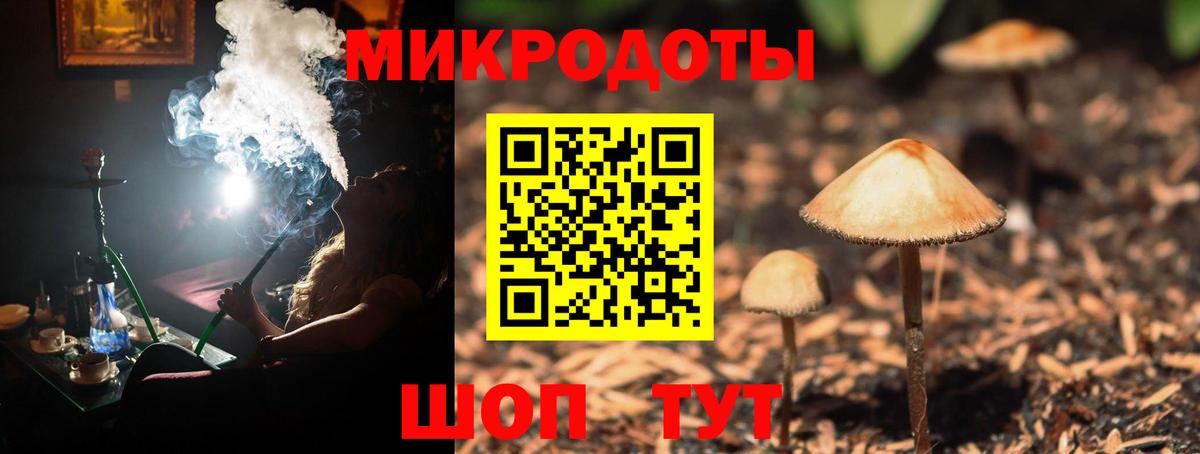Галлюциногенные грибы ЛСД Петропавловск-Камчатский