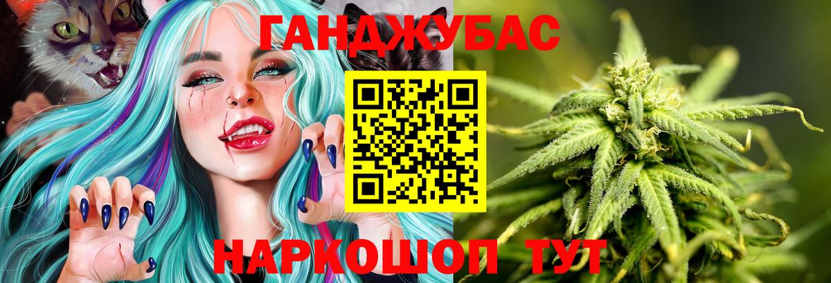 Меф Петропавловск-Камчатский